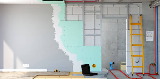 Best Attic Mold Removal  in St Regis Park, KY